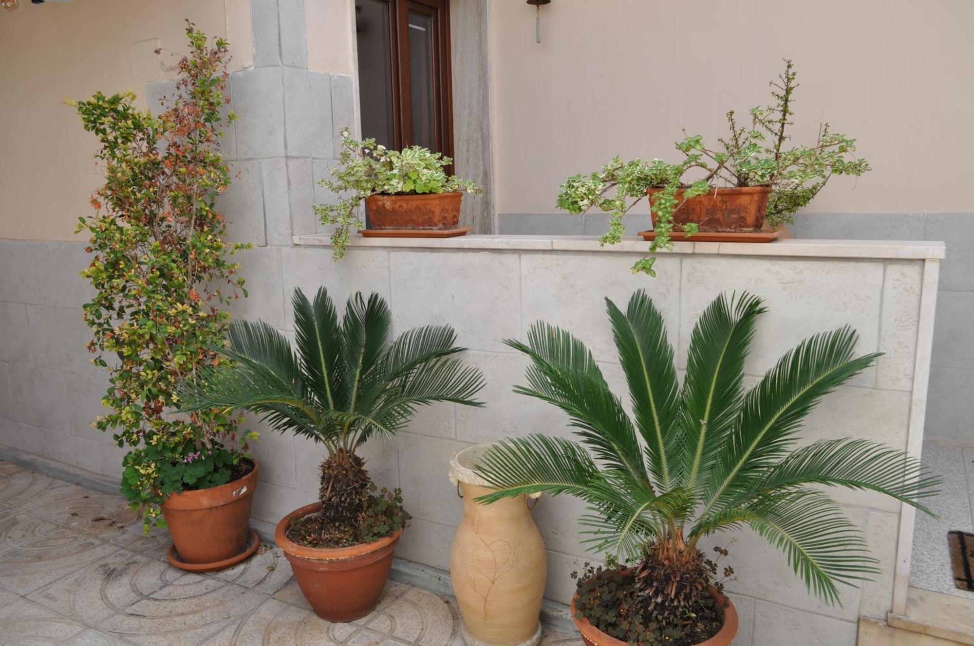 7 Contrade Bed & Breakfast Taranto Bagian luar foto