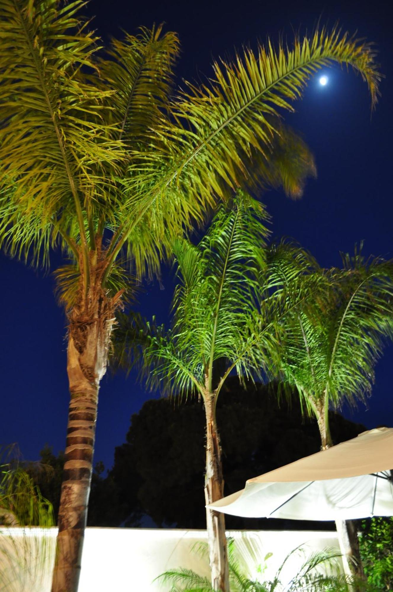 7 Contrade Bed & Breakfast Taranto Bagian luar foto